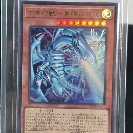 [BUNJANG] Yu-Gi-Oh! Card Collection - Blue-Eyes White Dragon, Dark Magician Girl (Japanese) / 유희왕카드 울레,밀레,쿼시크팝니다
