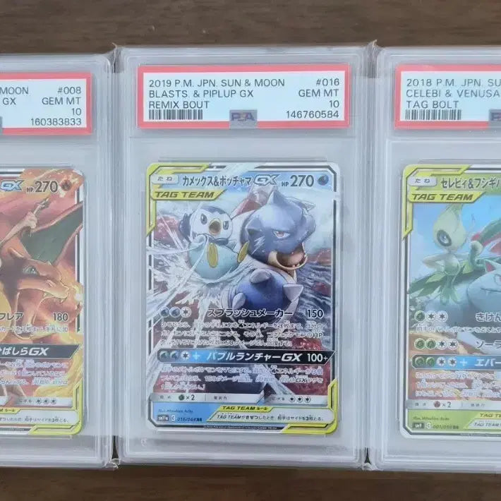 [BUNJANG] Pokemon Tag Team Charizard, Blastoise, Venusaur 3-Card Set GEM MT 10 / 포켓몬 태그팀 리자몽, 거북왕, 이상해꽃 3종 세트 psa10 입니다