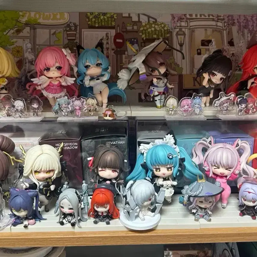 [BUNJANG] Hobby Sakura 1st Edition Full Box Display Acrylic / 급처) 이번주까지 택포 28 하비사쿠라 1탄 판매