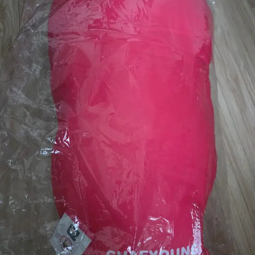 [BUNJANG] TWICE Chaeyoung Character Cushion Official Goods / TWICE 트와이스 채영 캐릭터 쿠션 공식 굿즈