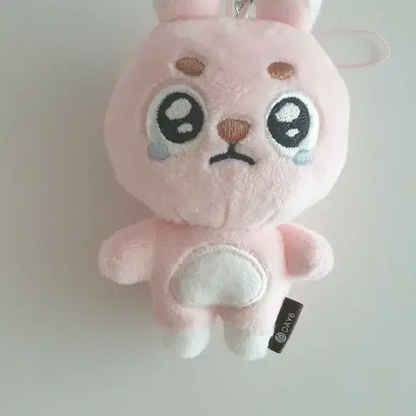 [BUNJANG] DAY6 Wonpil Unfiltered Keyring / 데이식스 원필 언필터드 키링 뿌엥필