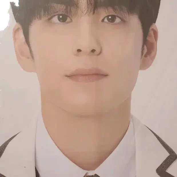 [BUNJANG] Day6 Wonpil Denimals Uchiwa Cover + Uchiwa Set / 데이식스 원필 데니멀즈 우치와 커버 + 우치와 세트