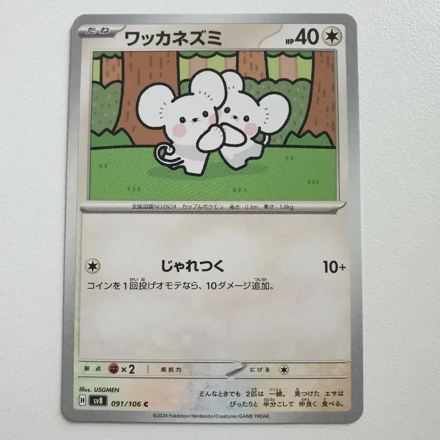 [BUNJANG] Japanese Edition Spinarak Pokémon Card / 일판/두리쥐 포켓몬카드
