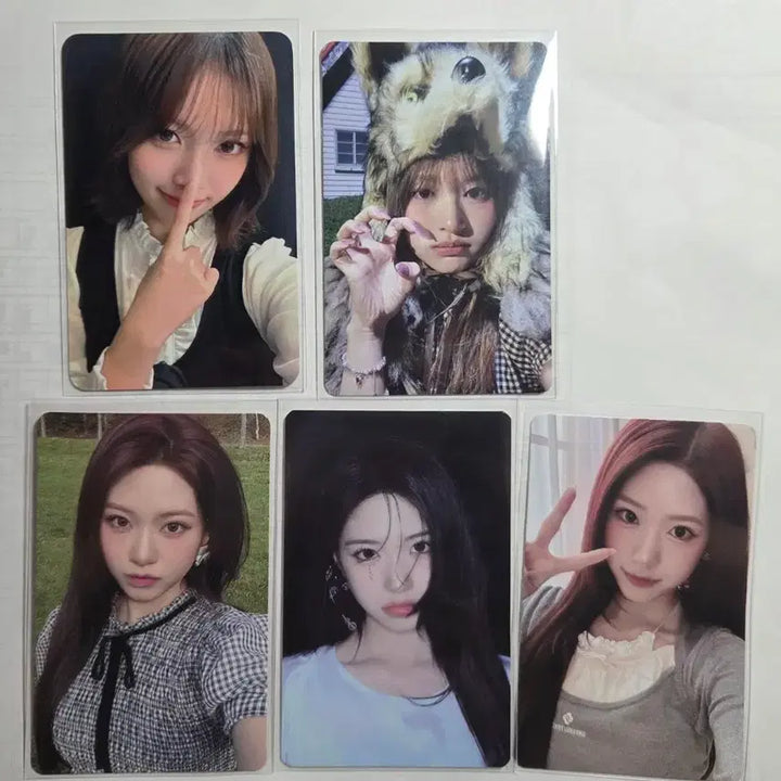 [BUNJANG] Resinne Photocard Bundle Set / 오늘만 1.8)리센느 포토카드 판매합니다!