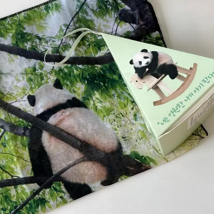 [BUNJANG] Fu Bao Autograph Poster Socks Bundle Set / 푸바오 시그포스터 양말 일괄판매