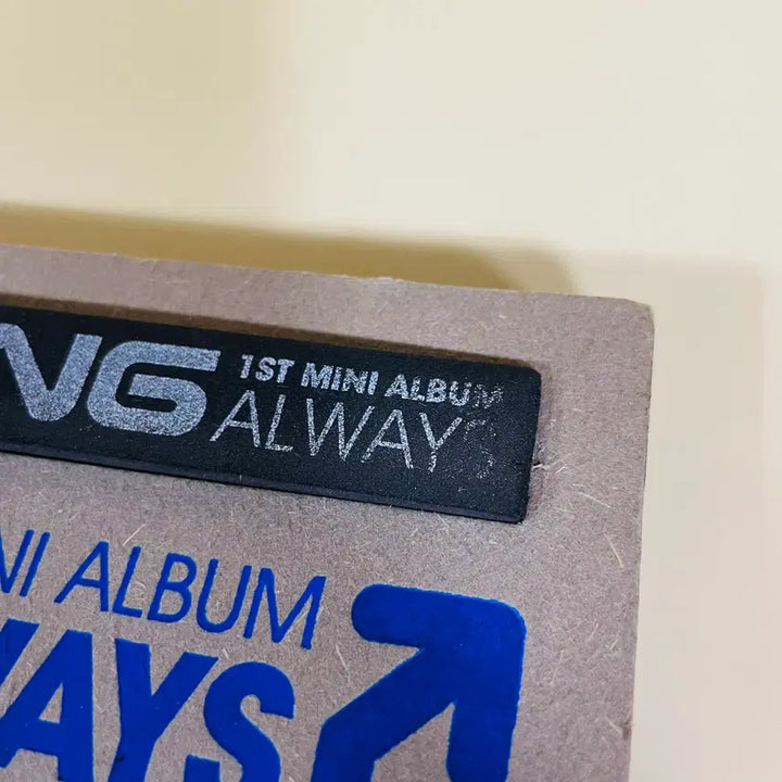 [BUNJANG] BIGBANG 1st Mini Album ALWAYS / [중고음반/CD] 빅뱅 BIGBANG 미니1집 EP - ALWAYS (하자확인필요)