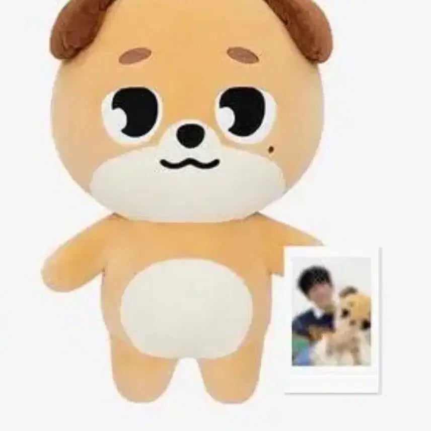 [BUNJANG] Giant Denimz Don Polar / 자이언트 데니멀즈 돈 폴라 포함