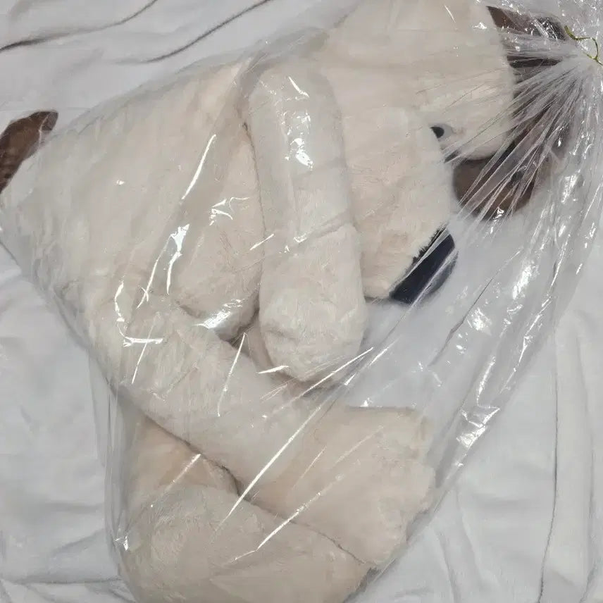 [BUNJANG] Wallace &amp; Gromit Large Gromit Plush Toy (New) / 월레스와 그로밋 대형 그로밋 새제품