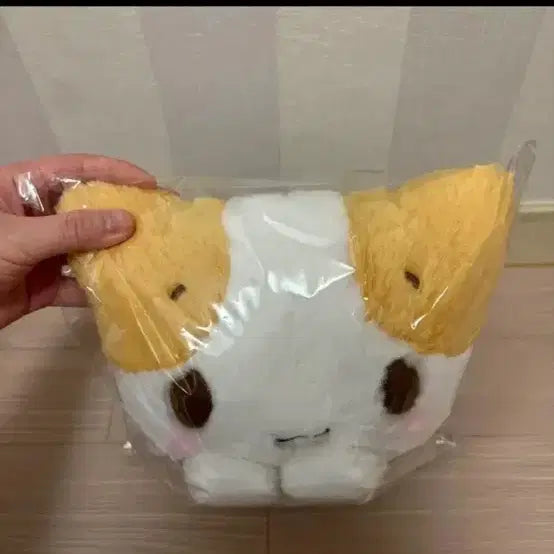 [BUNJANG] Sanrio Marshmallow Cat Plush / 마슈마로 산리오 고양이 인형 오늘만 싸게 판매합니다
