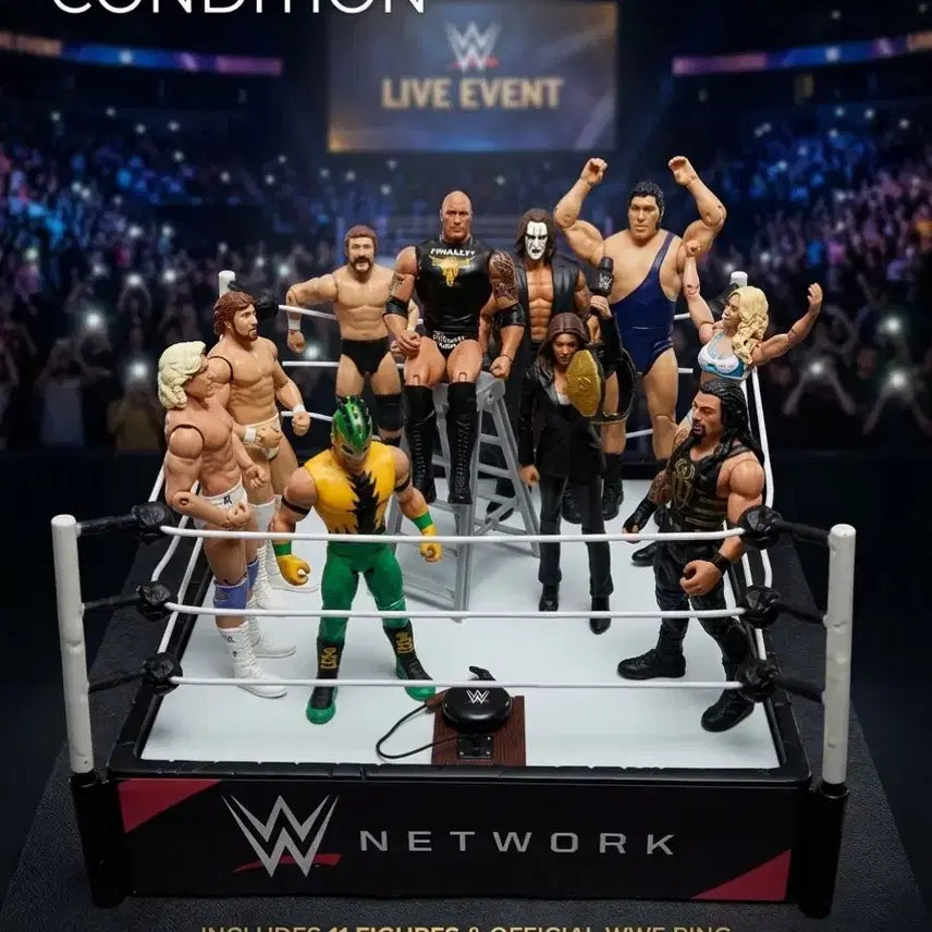 [BUNJANG] WWE Action Figure Set with Ring / 추억의 WWE 피규어 세트 판매합니다