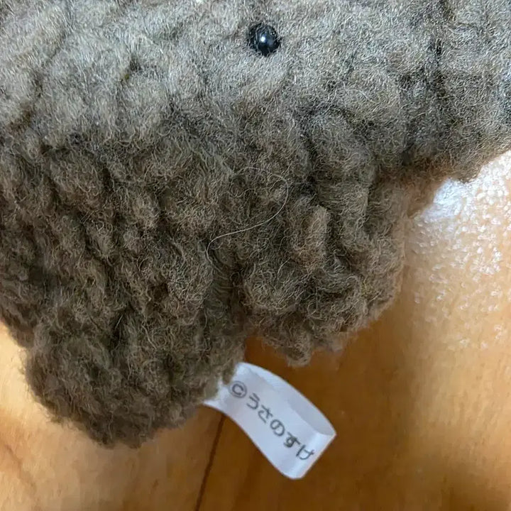[BUNJANG] Fluffy Koala Character Plush Toy / 복슬복슬 코알라 캐릭터 봉제인형