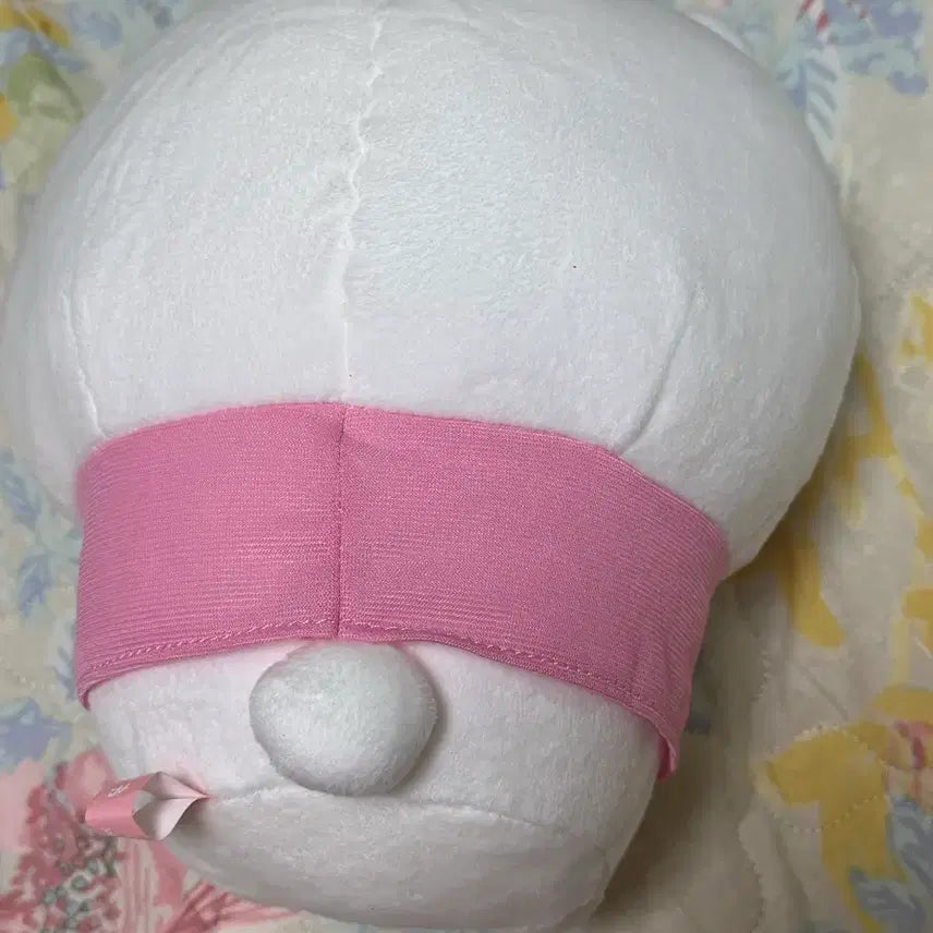 [BUNJANG] Chiikawa Watermelon Plush / 치이카와 수박 누이(세븐일레븐 쿠지)