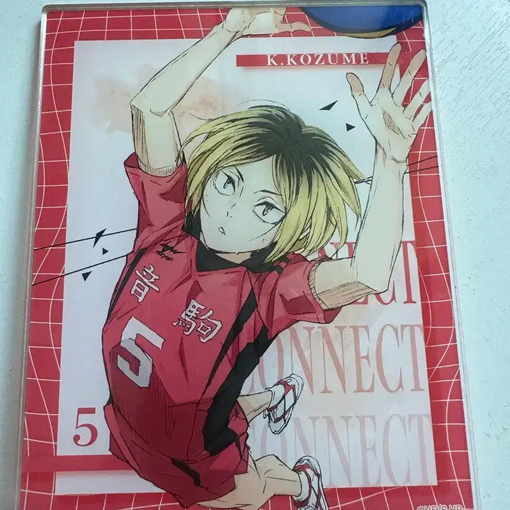 [BUNJANG] Kenma Acrylic Stand / 켄마 아크릴