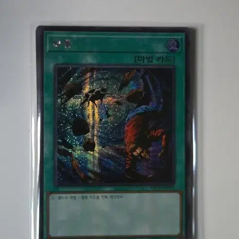 [BUNJANG] Yu-Gi-Oh! Typhoon Secret Rare / 유희왕 태풍 시크 팝니다