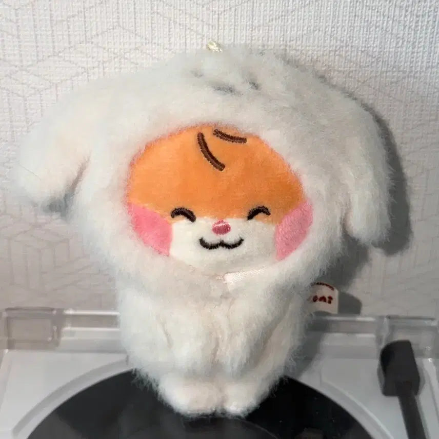 [BUNJANG] ZB1 Zerose Seven 7th Generation Seong Hanbin Plush Doll / 제베원 제로니 마그넷 비니니 성한빈 인형