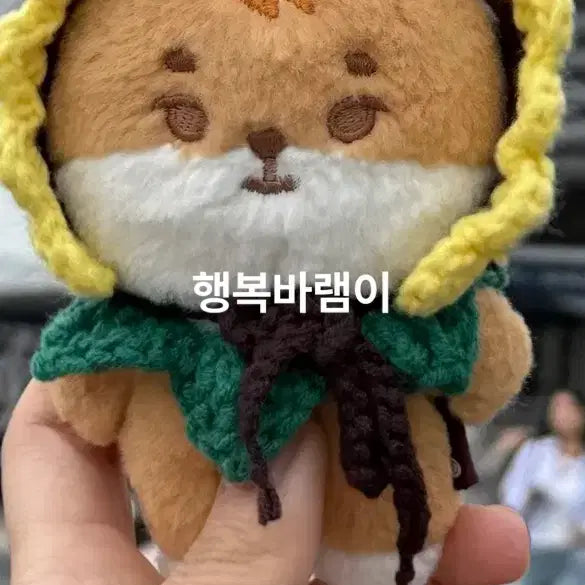 [BUNJANG] Sunflower Bonnet &amp; Cape Set / 해바라기 보닛&amp;케이프 세트