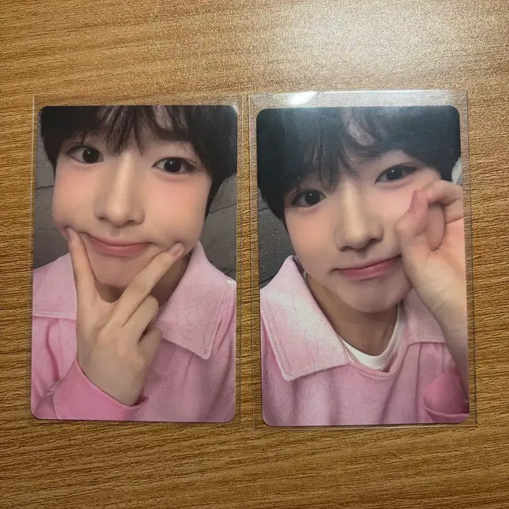 [BUNJANG] NCT WISH Sakuya Bundle Set Photocard / 엔시티위시 사쿠야 로그인 포카 일괄