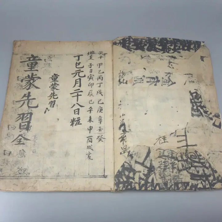 [BUNJANG] Joseon Dynasty Dongmongseonseup First Children&