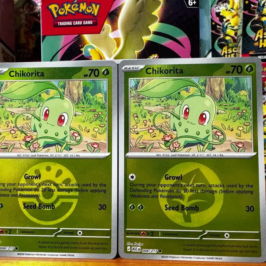 [BUNJANG] Chikorita Mirror Holo Set / 치코리타 미러홀로 세트
