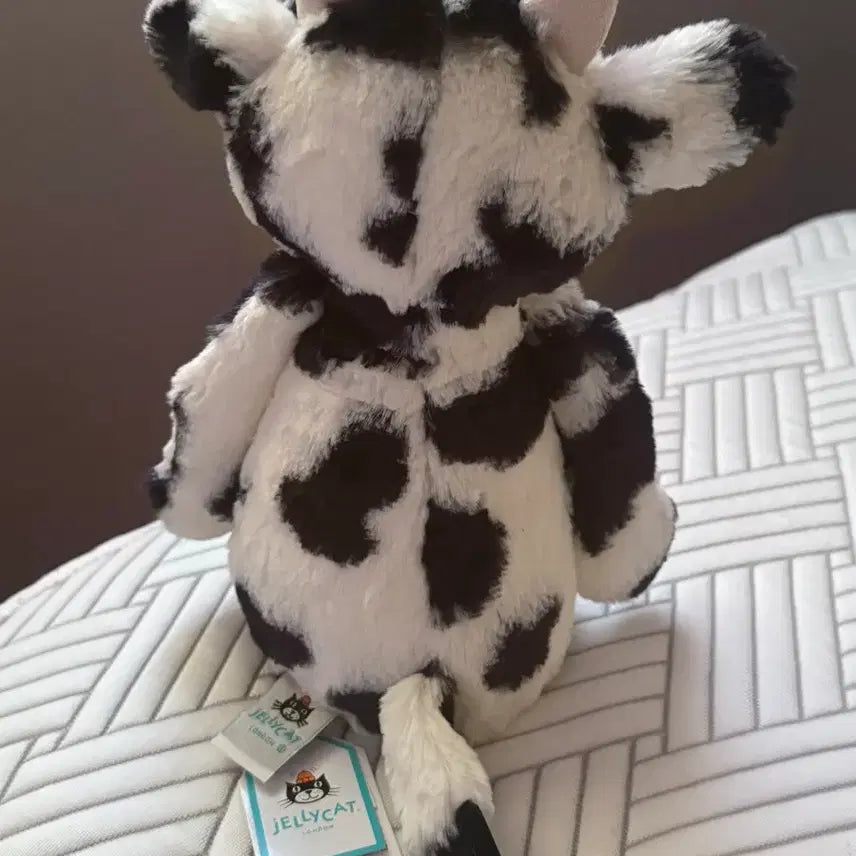 [BUNJANG] Jellycat Bashful Giraffe Plush Toy / jellycat 바쉬풀 카프 젤리캣 정품