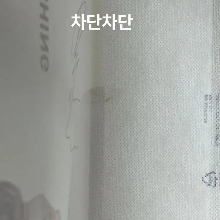 [BUNJANG] Byun Woo Seok Kyochon | Tafetta Bag / 변우석 교촌 타포린백