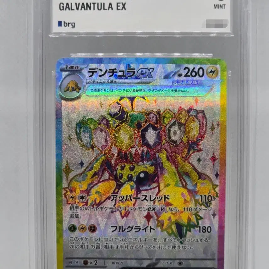 [BUNJANG] Pokémon Card Terapagos ex SR 118/102 / [BRG9] 일판 포켓몬카드 전툴라 ex SR