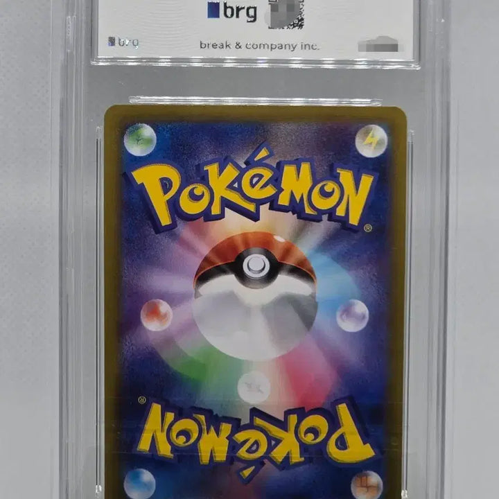 [BUNJANG] Pokémon Card Terapagos ex SR 118/102 / [BRG9] 일판 포켓몬카드 전툴라 ex SR