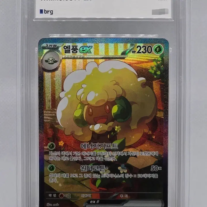 [BUNJANG] Pokemon Card Elphoon ex SAR / [BRG9] 포켓몬카드 엘풍 ex SAR