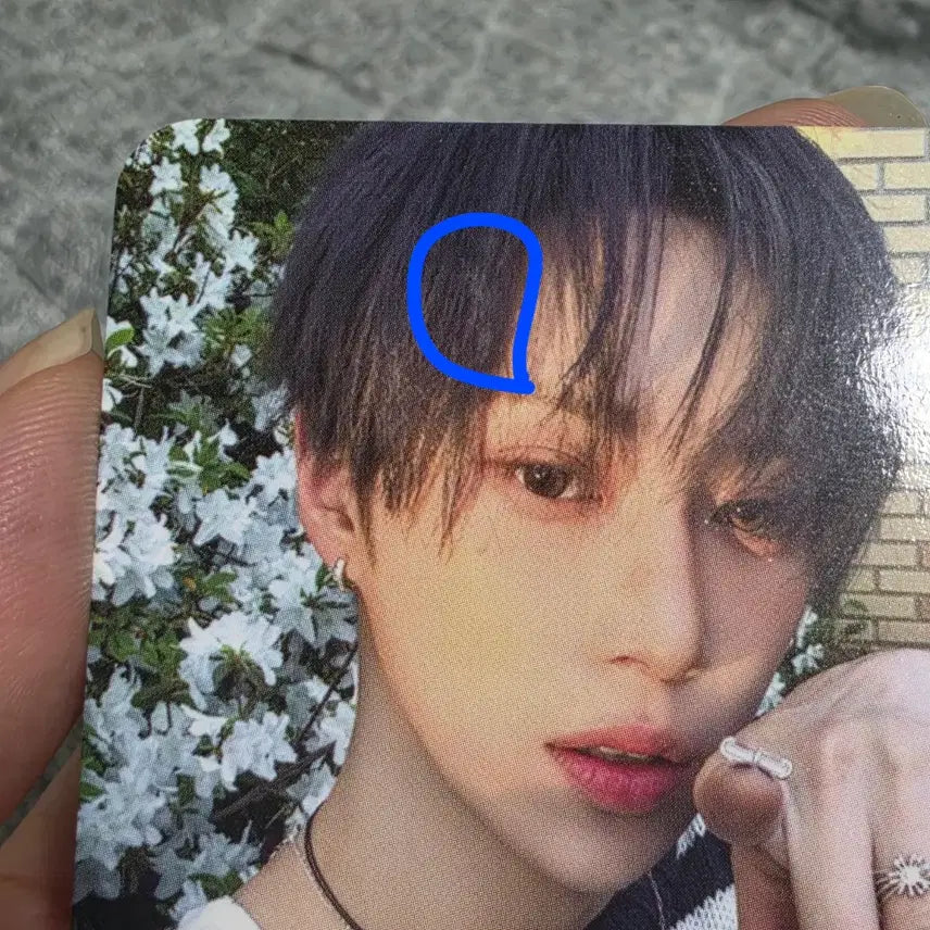 [BUNJANG] Ald1 Alphadriveone Arno POB Photocard / 공정하자) 알파드라이브원 아르노 미공포 케이팝투게더 케팝투 알디원 좋아하는 사람 ald1 포토 카드