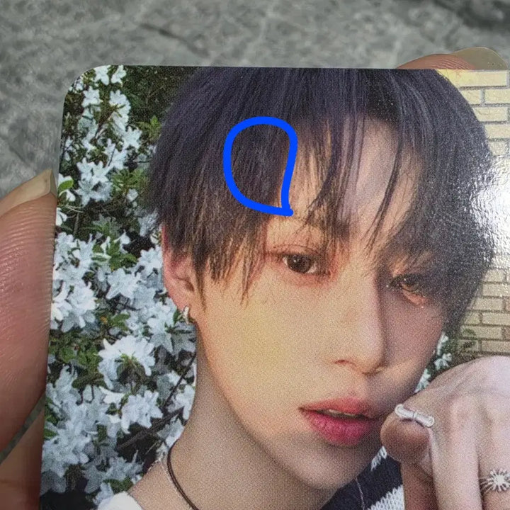 [BUNJANG] Ald1 Alphadriveone Arno POB Photocard / 공정하자) 알파드라이브원 아르노 미공포 케이팝투게더 케팝투 알디원 좋아하는 사람 ald1 포토 카드