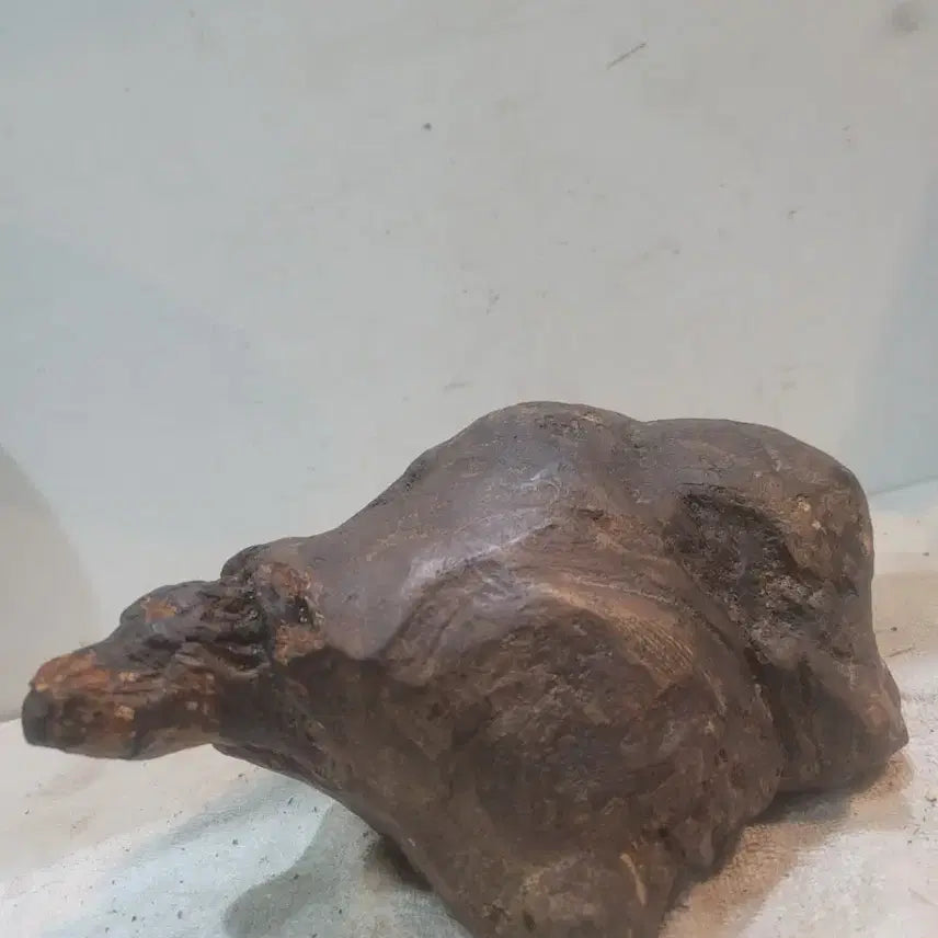 [BUNJANG] Antique Root Wood Sculpture / 자라형상 뿌리목 작품