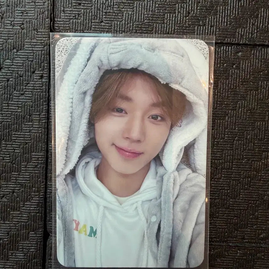 [BUNJANG] Park Jihoon Mamute Photocard / 박지훈 마뮤테 포카