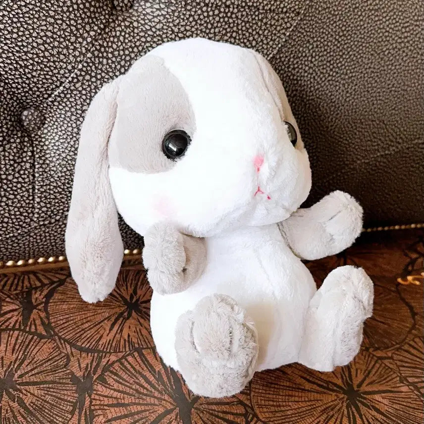 [BUNJANG] Amuse Pampi (Lotty) Jumbo Plush / 일본정품-어뮤즈 팜삐(롯삐)점보 인형
