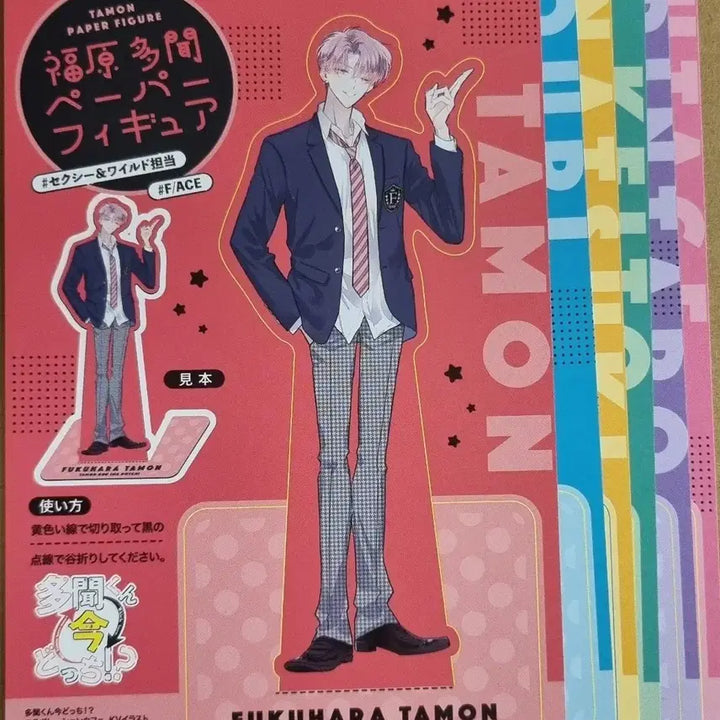 [BUNJANG] Tamon-kun Now Which Way?! Paper Figure 6-Sheet Set / 일괄) "타몬군 지금 어느 쪽?!" 페이퍼피규어 6종 세트