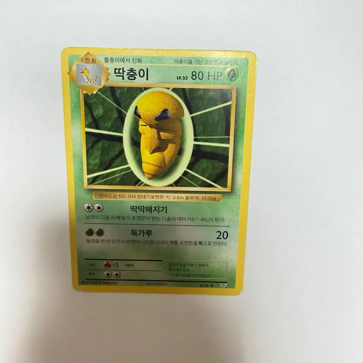 [BUNJANG] Vintage Pokemon Card - Caterpie / 딱충이 고전 포켓몬카드