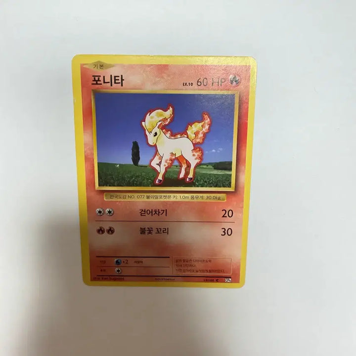 [BUNJANG] Ponyta Vintage Pokémon Card / 포니타 고전 포켓몬카드