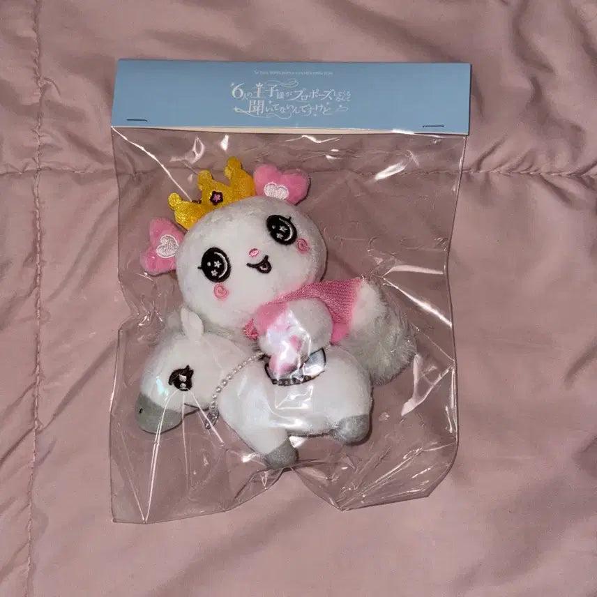 [BUNJANG] BAMWISHDOL Pangy Sealed Photocard / 백마위시돌 팡이 미개봉
