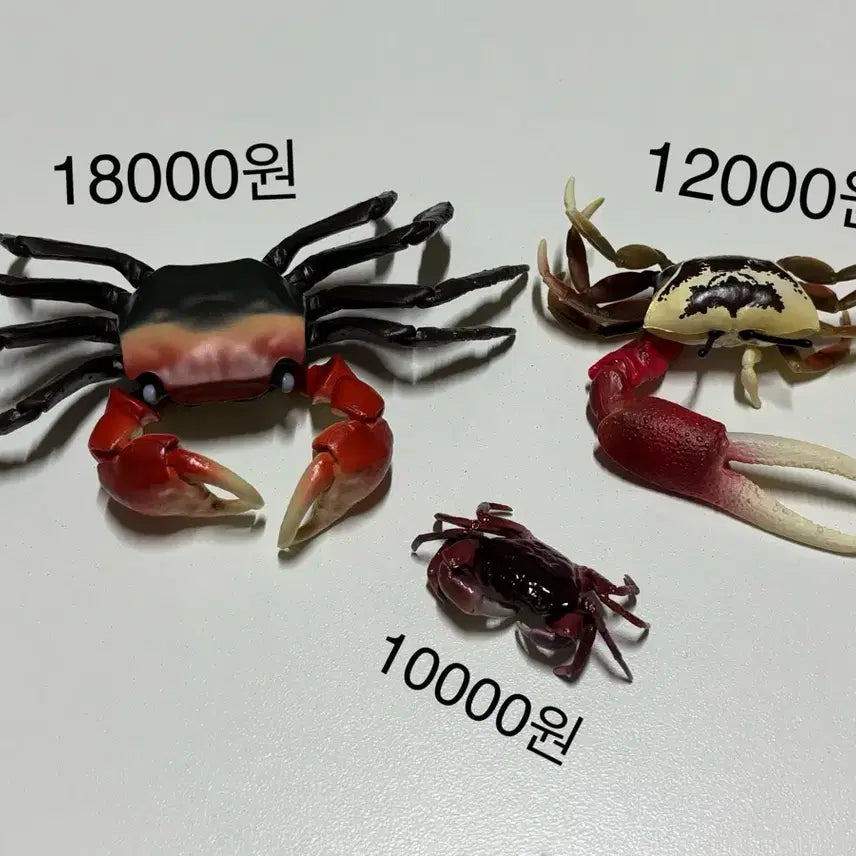 [BUNJANG] Living Creatures Encyclopedia Crab Figure / 생물대도감 꽃게 피규어 가챠 판매