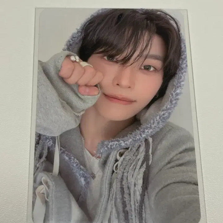 [BUNJANG] ALDIONE Hissing Version Photocard / 알디원 히싱버전 앨포 씬롱 양도