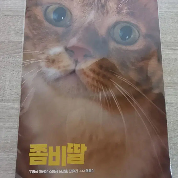 [BUNJANG] Zombie Daughter Aeyongi Poster / 좀비딸 애용이 포스터