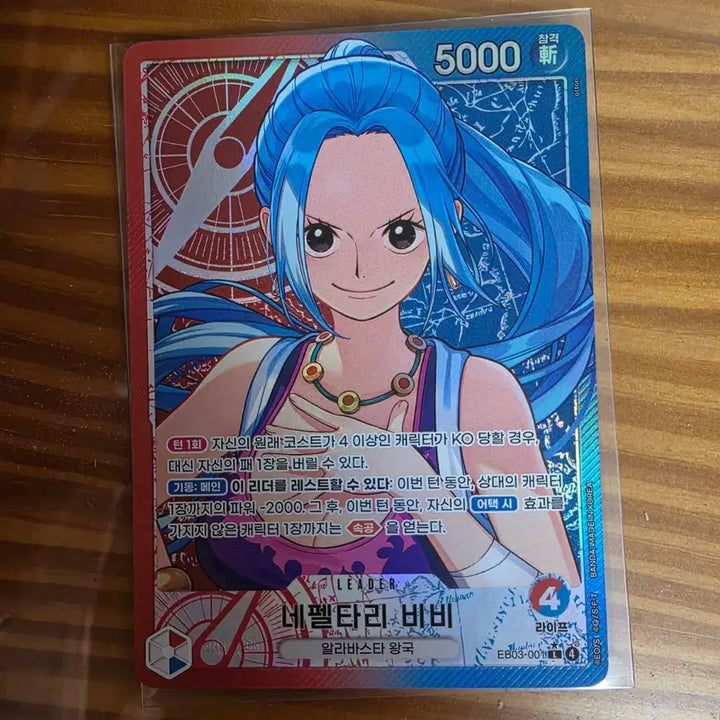 [BUNJANG] Nefertari Vivi Reader Card Set / 네펠타리 비비 카드 판매합니다.