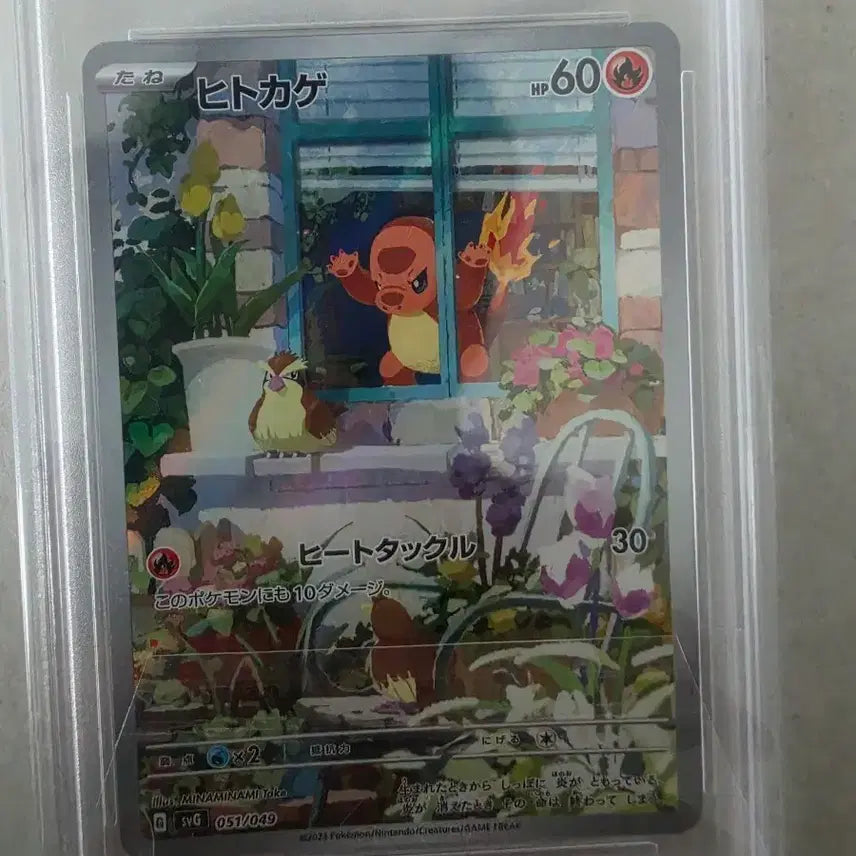 [BUNJANG] Pokemon Card Special Deck Window Charmander PSA 10 / 포켓몬 카드 스페셜덱 창문 파이리 psa10