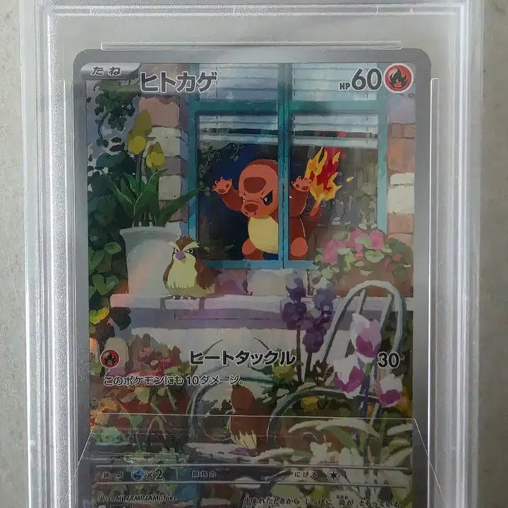 [BUNJANG] Pokemon Card Special Deck Window Charmander PSA 10 / 포켓몬 카드 스페셜덱 창문 파이리 psa10