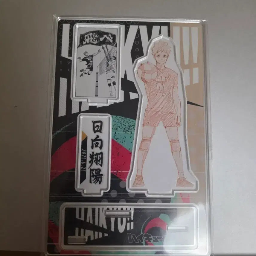[BUNJANG] Hinata 2021 Diorama / 히나타 2021 디오라마