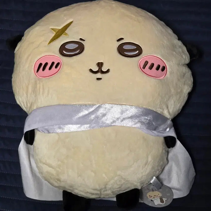 [BUNJANG] New RAKKO Big Plush Doll / 신상 랏코 빅누이 | 랏코 BIG 누이 인형 | 먼작귀 랏코