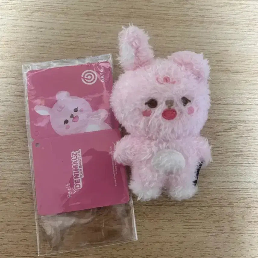 [BUNJANG] Magnet Feel Photocard Bundle Set / 마그넷 필 원가양도