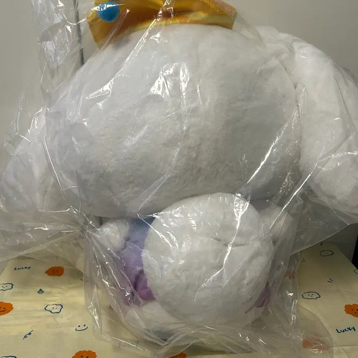 [BUNJANG] Sanrio Cinnamoroll Large Plush / 산리오 :: 시나모롤 :: 큰 인형