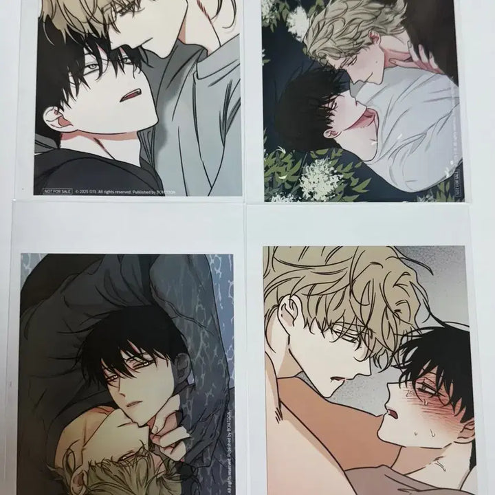 [BUNJANG] Low Tide in Twilight Photocard Bundle Set / (미사용 새상품) 물가의밤 인화사진 물밤 특전 4장 일괄 판매
