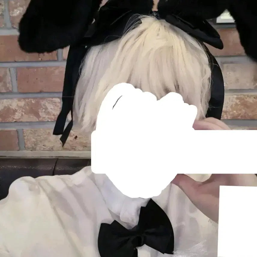 [BUNJANG] A-Stage Bunny Style Ruka Cosplay Full Set / 에이스테 바니스테 루카 코스 풀셋 코스프레