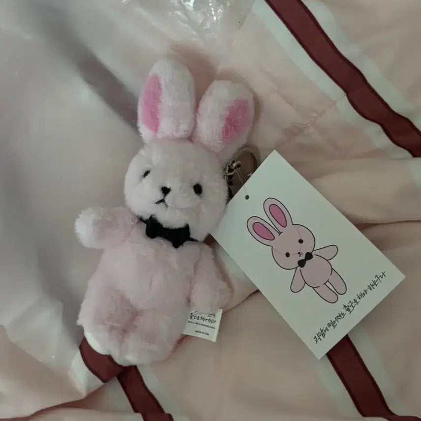 [BUNJANG] GyeDamChulGeun Brown Plush Doll / 괴담출근 괴출 브라운 팝업 착한친구 착친 인형 솜든몸